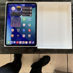iPad Pro 11 Inch, M4 Chip, 256 GB.