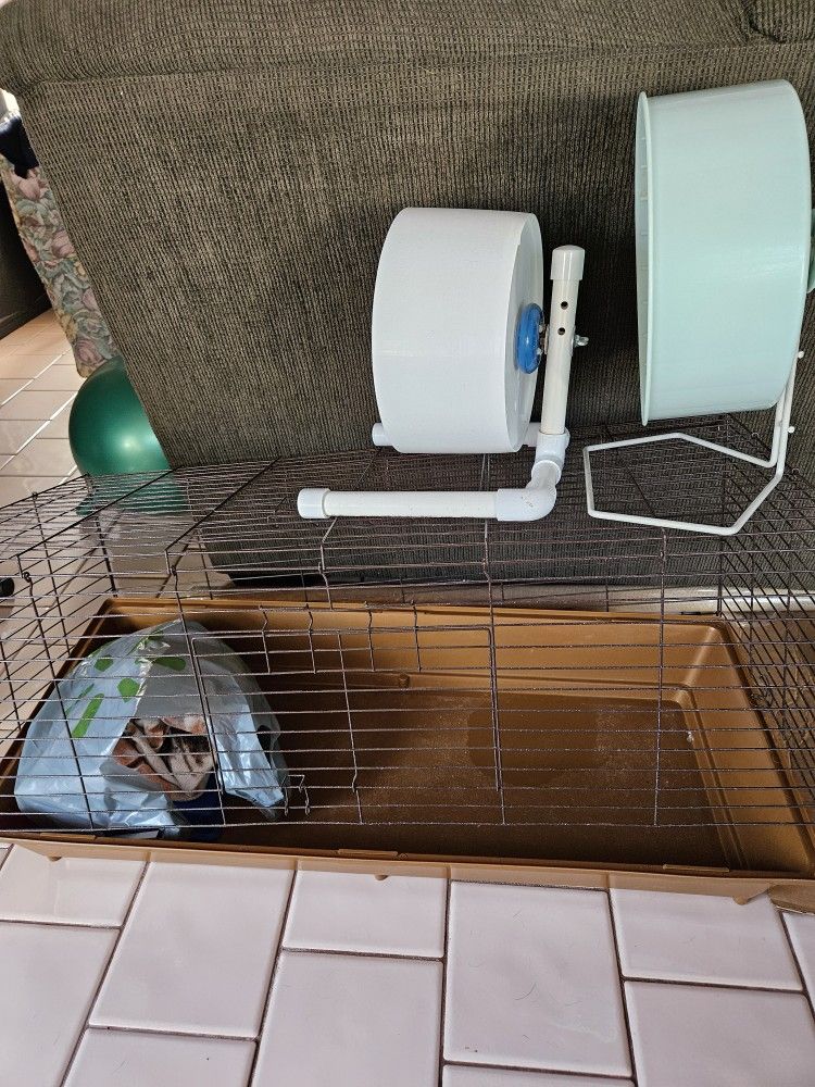 Guinea Pig Cage
