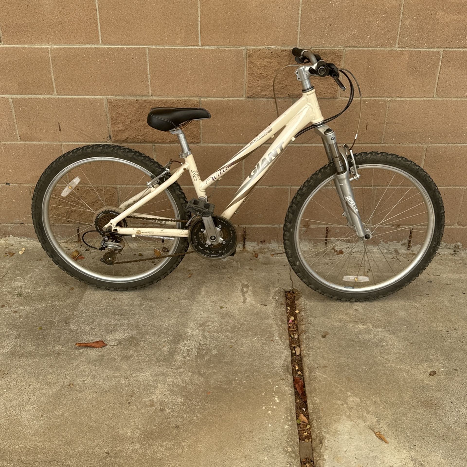 Giant Boulder SE 