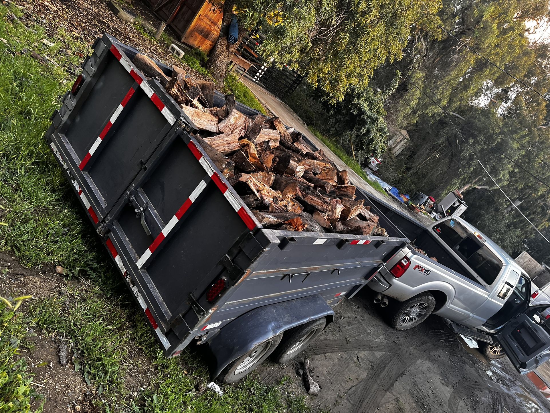 Firewood