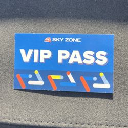 Skyzone Free Standard Pass