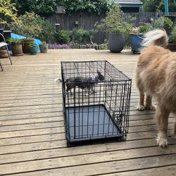 Small Dog Crate 