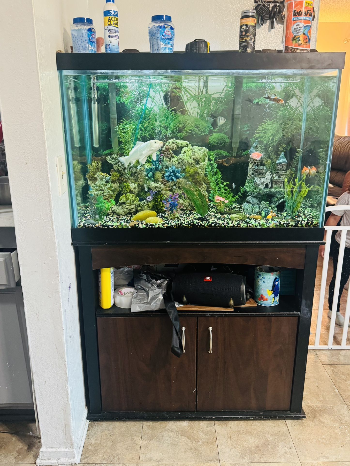 Fish Tank 65 galons Everything Included
