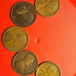 1909 ,1910,1911,1912,1913 Wheat Lincoln Penny, A Gift For You !