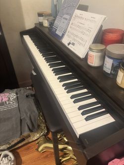 Piano (electric with many modes, buttons, tools, etc.)