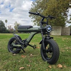 Electric Bike Full Suspension 750w