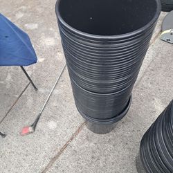 50 Buckets Plants Other Use All $10