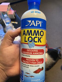 Ammonia Detoxification for Aquarium 