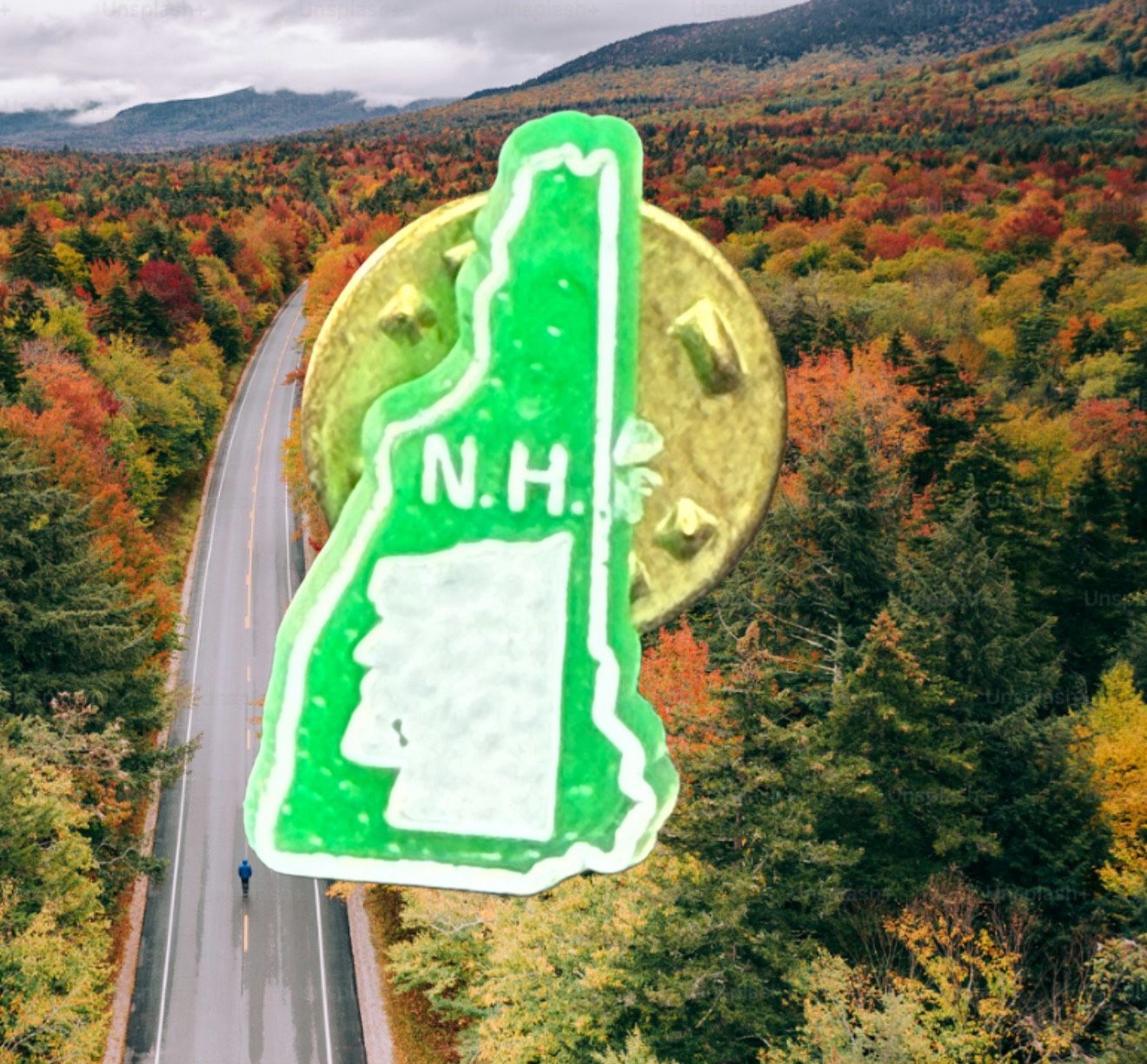 Vintage 1970s New Hampshire State Souvenir Pin Green White Resin, 0.5x0.75”