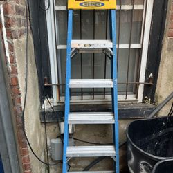6 Foot Werner Ladder 