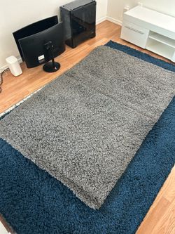 2 shag rugs