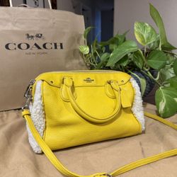 Coach Bag 
