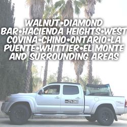 Windshields For Sale