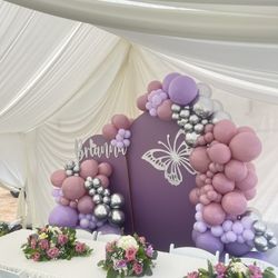 Butterfly theme 15 Backdrop With Balloons 