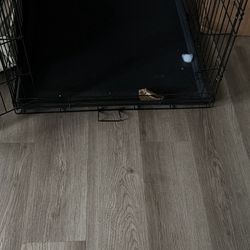 Dog kennel
