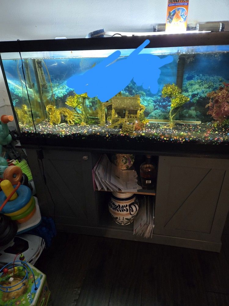 Fish Tank