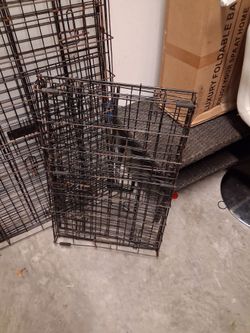 2.        Dog.    kennels. Iron