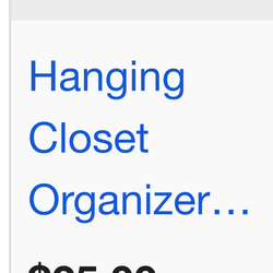 Hanging closet organizer