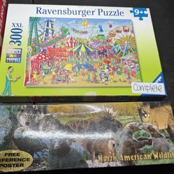 Puzzles