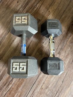 SINGLE DUMBBELL WEIGHTS 20 and 55 lbs $40 for both