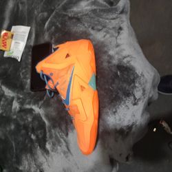 LeBrons Size 11
