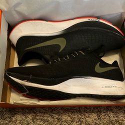 Nike Air Zoom Pegasus