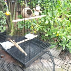 Bird Cage