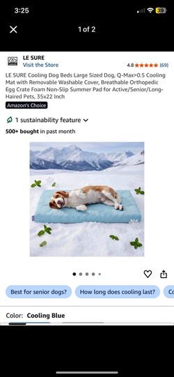 Cooling Dog Bed