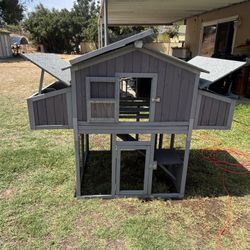 Chicken Or Bunny Coop! 