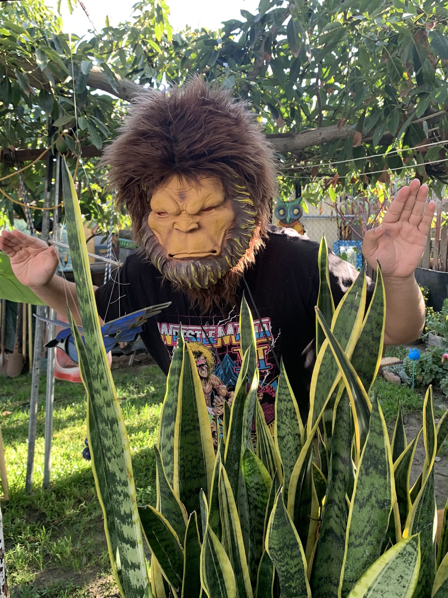 Big foot Mask Halloween