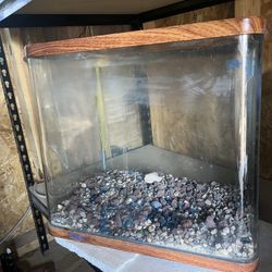 19Gallon Tank (curved Edge) 