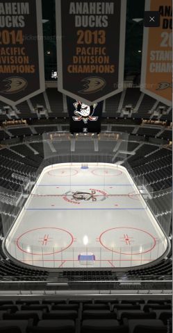 2 tickets Anaheim Ducks vs Vegas Golden knights