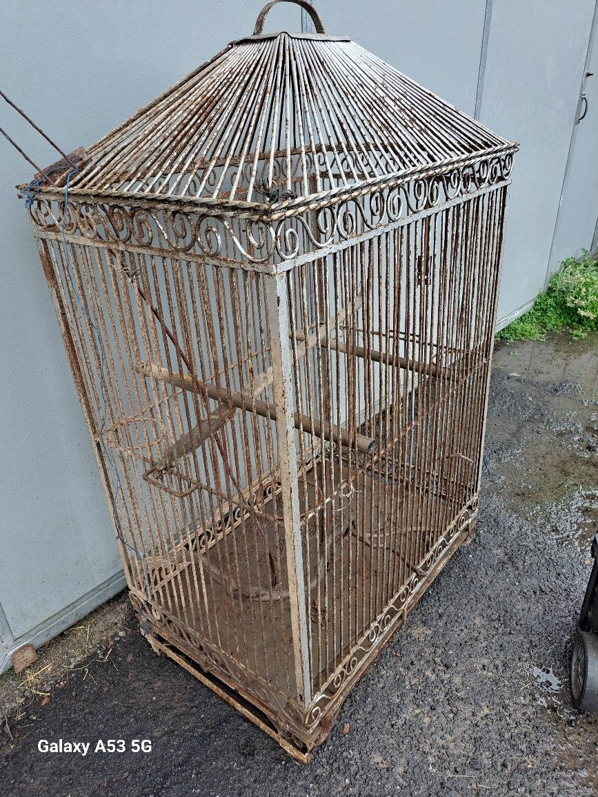 Big Bird Cage