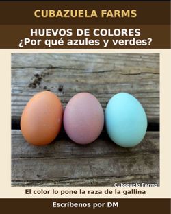 Huevos fértiles para incubadora !!