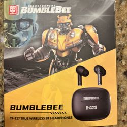 Transformers Ear Buds