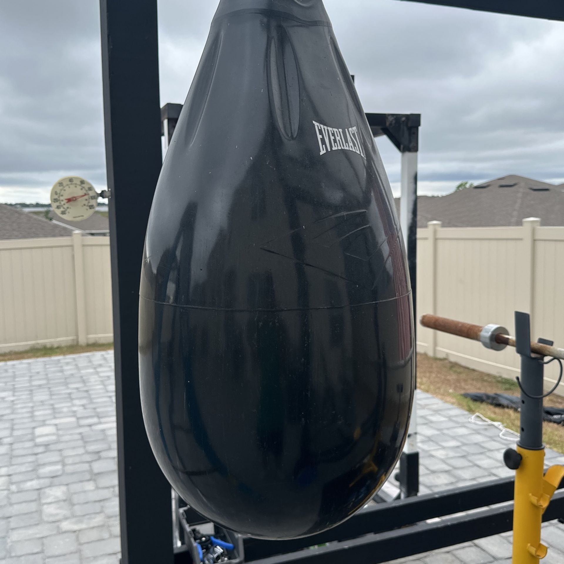 Everlast Water Punching Bag