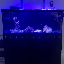 75 Gallon Aquarium 