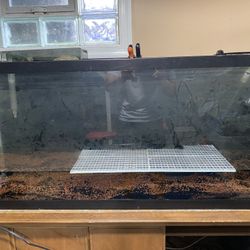 55 Gallon Tank For Sale 