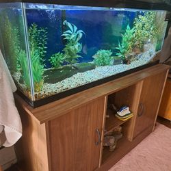 55gl Aquarium W/Stand 