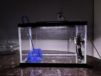 5.5 gallon fish tank