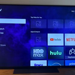 65 Inch Roku Tv