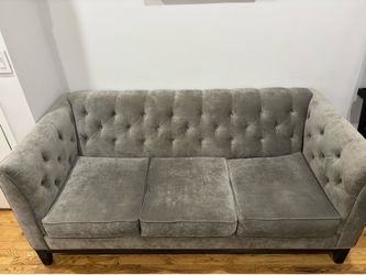 Velvet Gray Couch