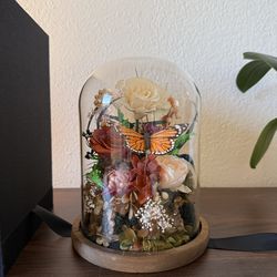 Huachiplus Floral Display