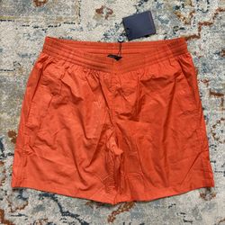 Men’s Shorts Size L/XL