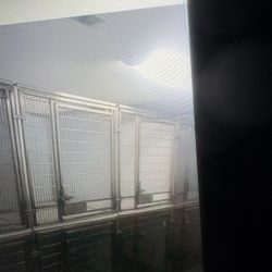 Dog Kennels