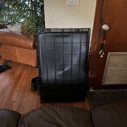 Medium Dog Crates 