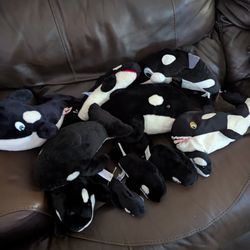 Vintage Shamu Killer Whale Plushies Lot Of 11