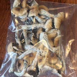 Mushrooms (psilocybin) Medicinal Mushrooms. 
