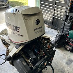 2009 Evinrude Etec 