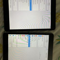 2 İpad Mini With Charging Cable 